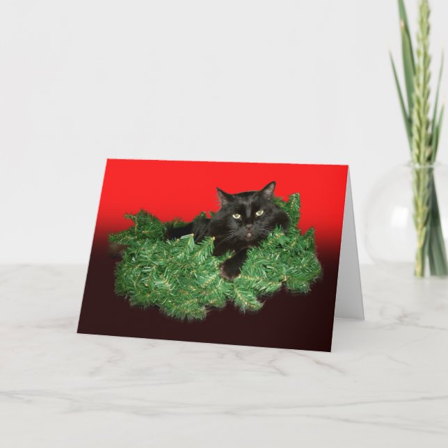 Carte de vacances fourrure chat (Devant)