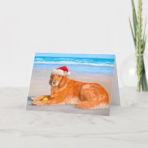 Carte de vacances Golden Retreiver