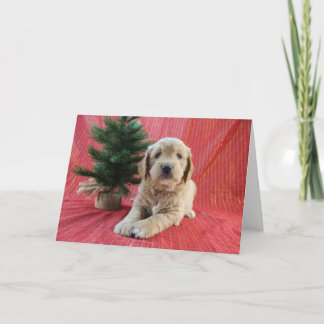 Carte de vacances Goldendoodle