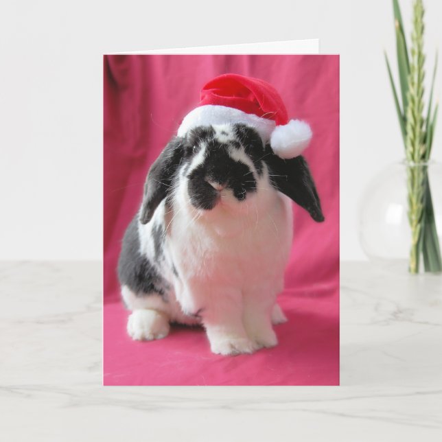 Carte de vacances Hoppy (Devant)