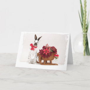 Carte de vacances Hoppy