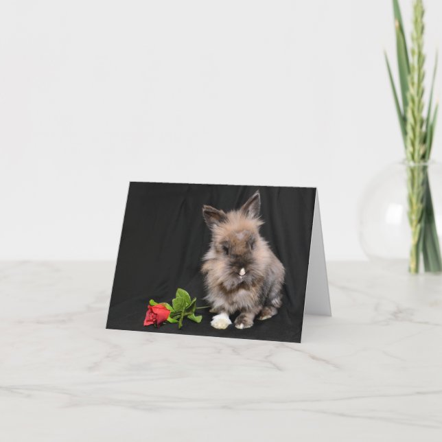 Carte de vacances Hoppy Valentine's Day (Devant)