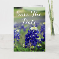 Bluebonnets Blue Flowers Texas Floral Mariage