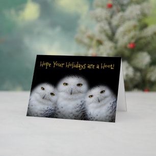 Carte De Vacances Métallisée Dreamy Chouettes neigeuses Noël Famille Drôle Hoot