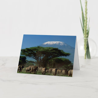Carte De Vacances Métallisée Elphants du mont Kilimanjaro