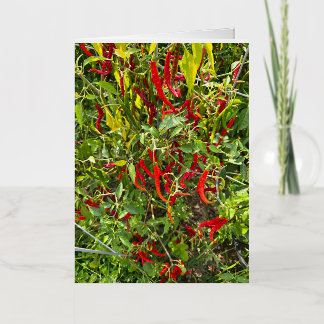 Carte De Vacances Métallisée Hot Peppers pour Hot Chile!
