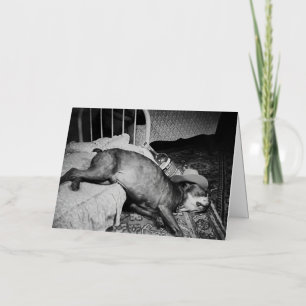 Carte De Vacances Métallisée Le matin après Vintage drôle chien ivre