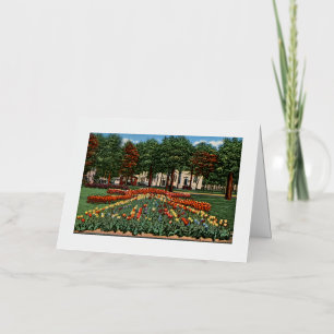 Carte De Vacances Métallisée Tulip Time Holland, Michigan