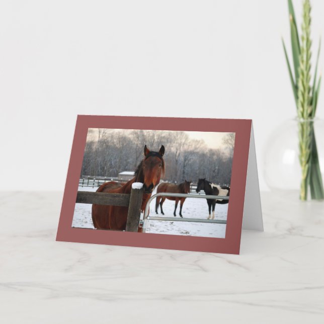 Carte de vacances Mustang (Devant)