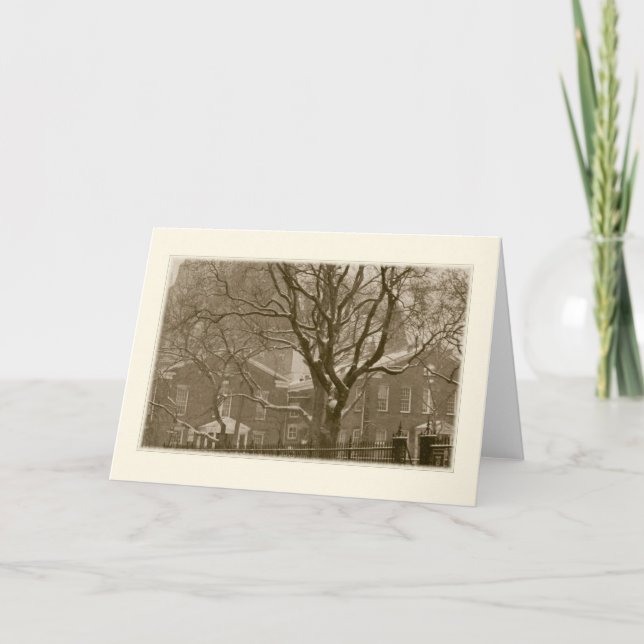 Carte de vacances 'New York Winter Scene' - Vierge (Devant)