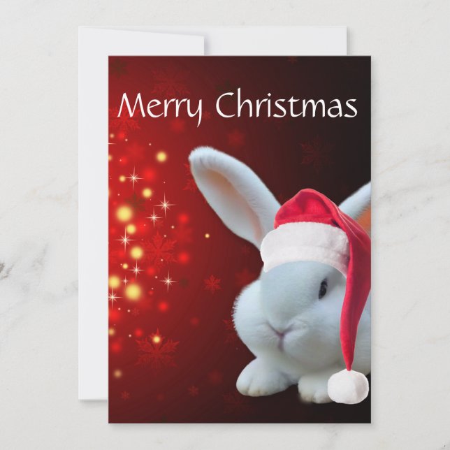 Carte de vacances Noël Père Noël Bunny Flat (Devant)