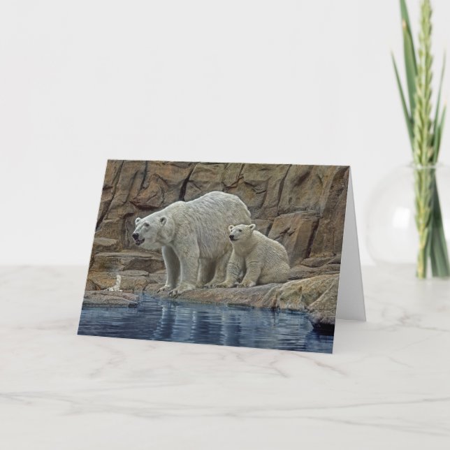 Carte de vacances ours polaire et ourson (Devant)