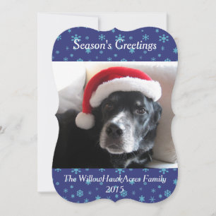 Carte de vacances père Noël Dog-Labrador/Rottweile