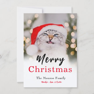 Carte de vacances photo de chat de Noël magique