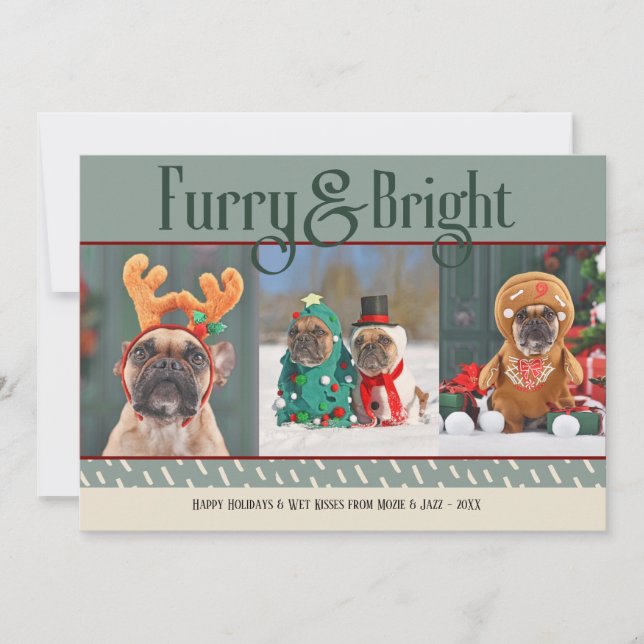 Carte de vacances photo de Noël pour chien furieux (Devant)