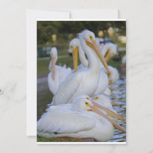 Carte de vacances Pile