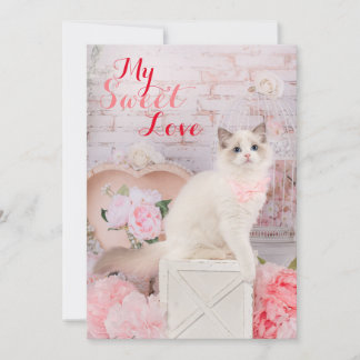 Carte de vacances plat Ragdoll Kitten