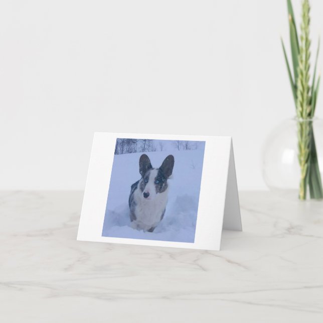 Carte de vacances pliée avec chien dans la neige (Devant)