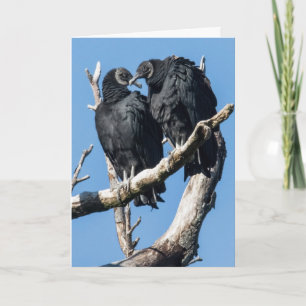 Carte de vacances pliée Vulture Valentine