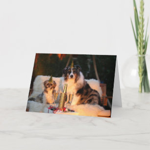 Carte de vacances pour deux chiens