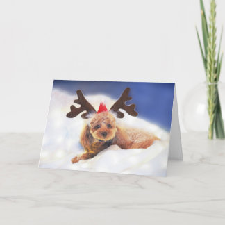 Carte de vacances Reindeer In Training