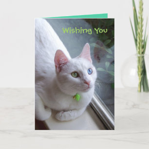 Carte de vacances Serenity