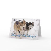 Carte de vacances Sibérienne Husky