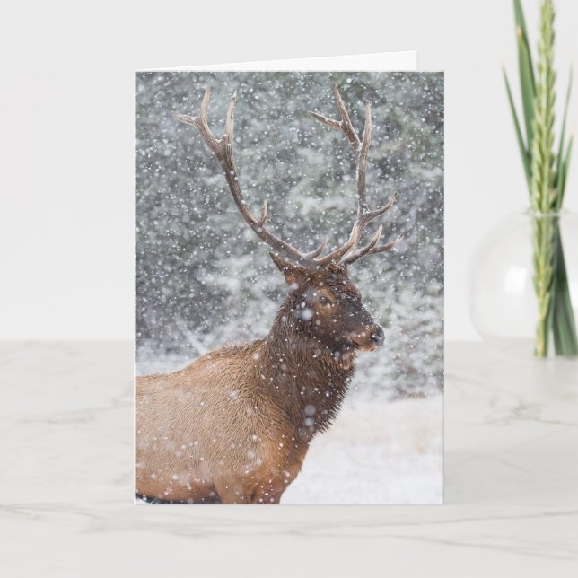 Carte de vacances "Snow Globe" (Devant)