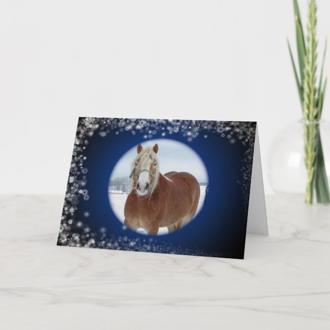 Carte de vacances Sparkel Horse (Devant)