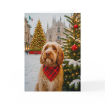 Carte de vacances Spinone Italiano