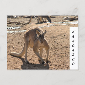 Carte de vacances texture lisse