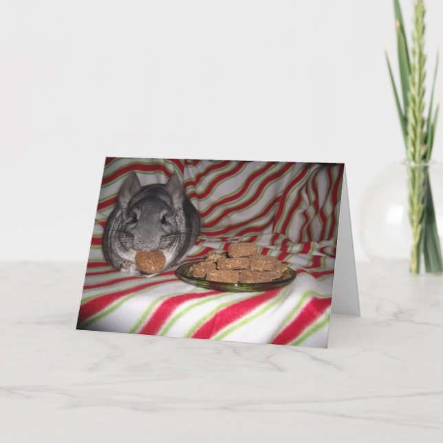 Carte de vacances Wunderchins 2012 (Devant)