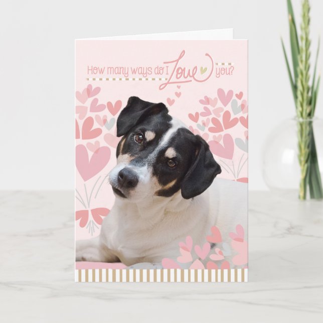 Carte de Valentines de chien mignonne - Combien de (Devant)
