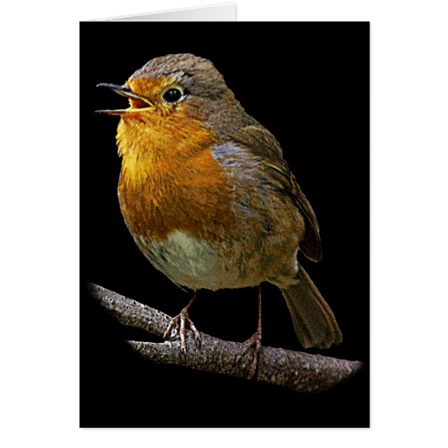 Carte de verticale de Robin (Devant)