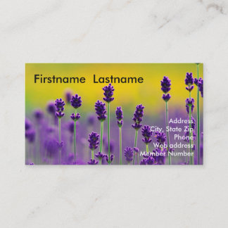 Carte de visite 1 de lavande