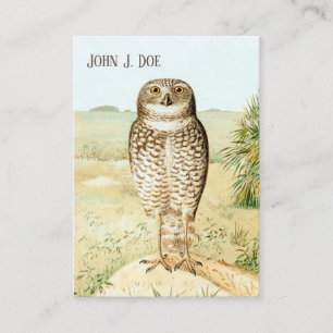 Carte de visite à deux faces pour les oiseaux