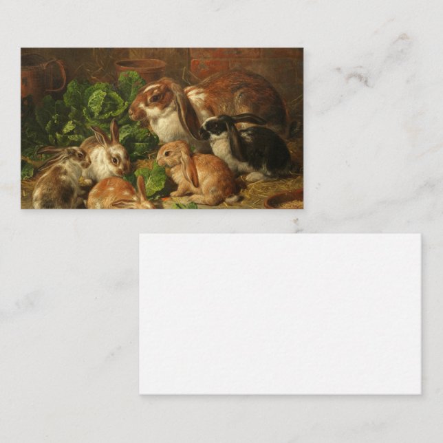 Carte De Visite A Family of Rabbits by Alfred Richardson Barber (Devant / Derrière)