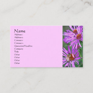 Carte De Visite Abeille De Miel Sur Fleur D'Aster Rose
