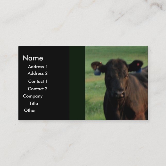 Carte De Visite Affaires sérieuses (Devant)