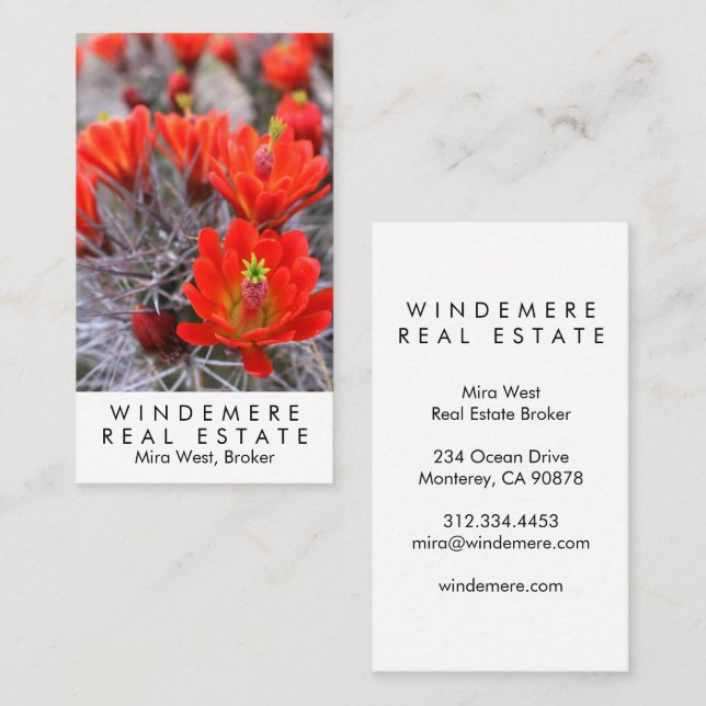 Carte De Visite Agent immobilier unique Courtier Red Cactus Blooms (Devant / Derrière)