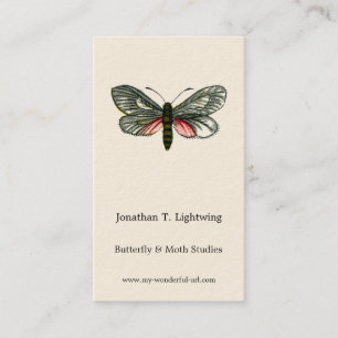 Carte De Visite Aglaope infausta - Skeletoniseur de feuilles d'ama