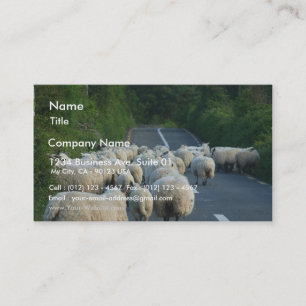 Carte De Visite Agneaux de routes de moutons