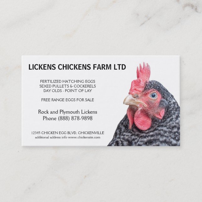 Carte De Visite Agriculteur interdit d'oeufs de poulet de roche (Devant)