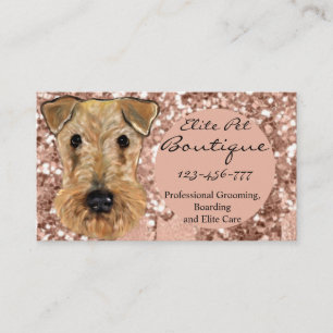 CARTE DE VISITE AIREDALE TERRIER