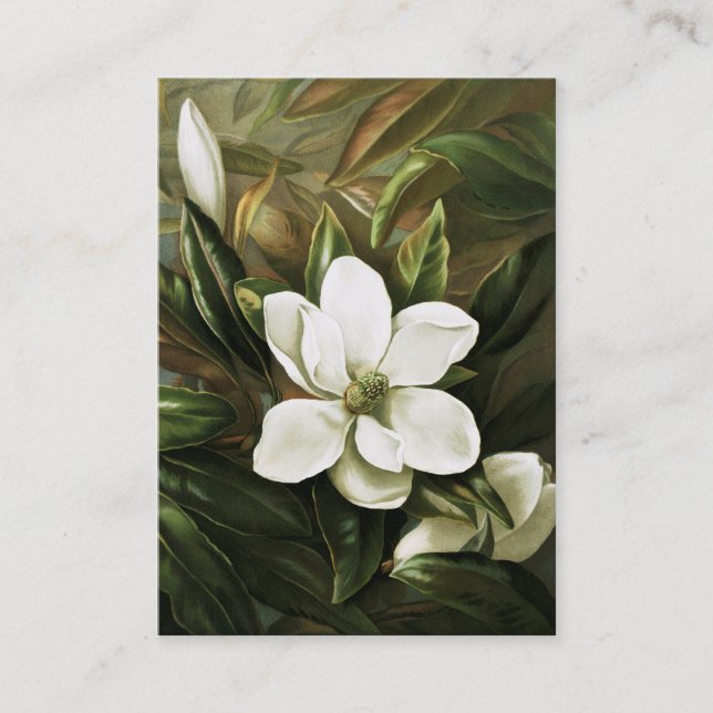 Carte De Visite Alicia H. Laird : Magnolia Grandflora (Devant)