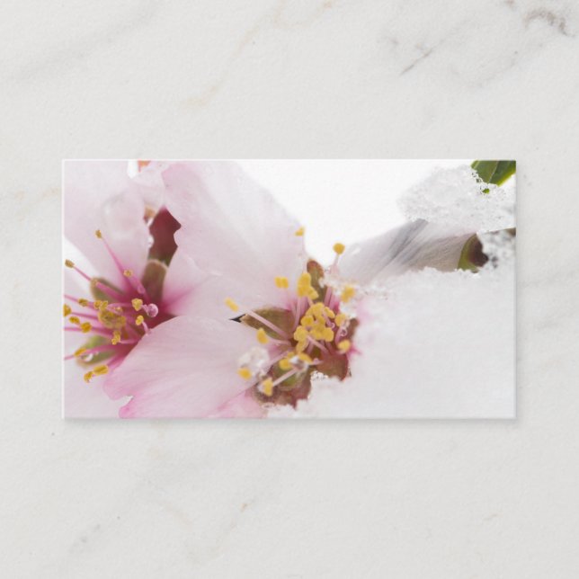 Carte De Visite Almond tree flowers covered by snow (Devant)