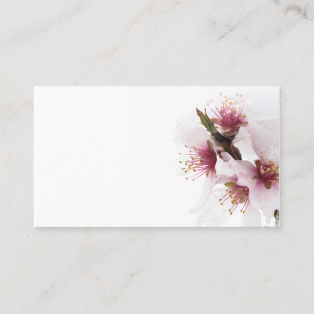 Carte De Visite Almond tree flowers covered by snow (Devant)