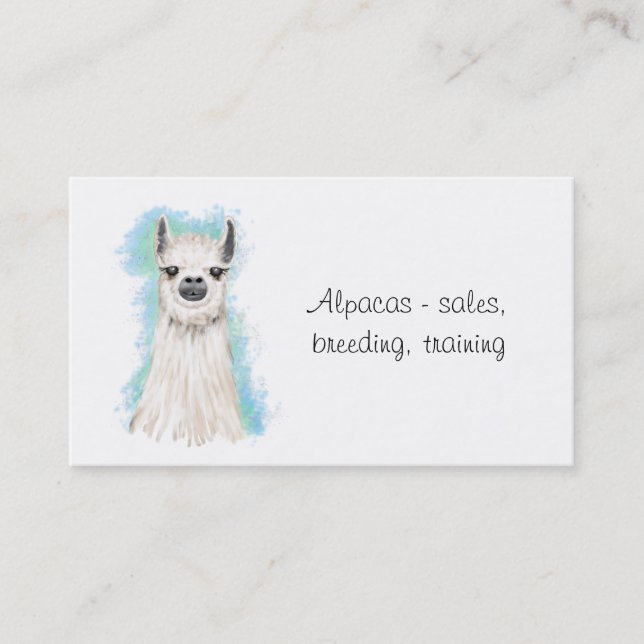Carte De Visite Alpacas et Llama (Devant)