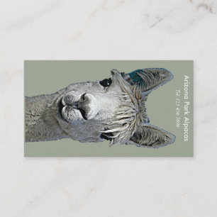 Carte De Visite Alpaga Alpakka Alpaka Alpaga