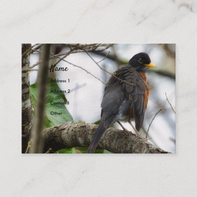Carte de visite américain Robin Bird (Devant)